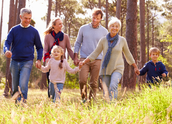 Family holding hands and strolling happily trough the woods